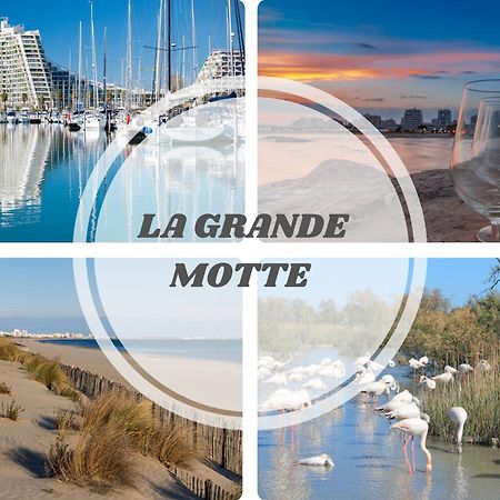Le Dream Beach-Terrasse-Vue Mer D'Exception-Wifi-Parking - Top Pros Servicesconciergerie Palavas-les-Flots Eksteriør bilde